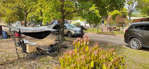 155-140(54-54)うめキャンプ村504_144423