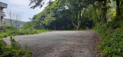 213-197(2-2)レムブランベースC527_132935