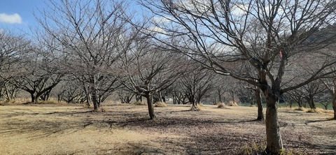 249-230(38-35)RECAMP志高湖210_144106