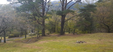 279-259(16-15)大崩山1102_143308