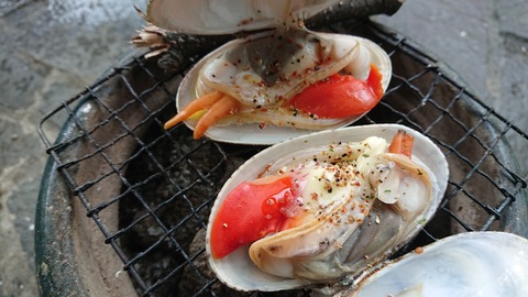 91,92-77,78(46,47-41,42)阿武川河川公園218S