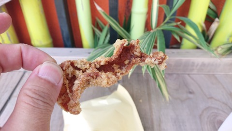 121-106(20-20)九重山麓風の丘590