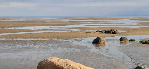 198-182(40-39)キワラビーチ225_162842