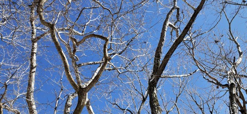 238-221(27-26)法華院温泉山荘1119_112835