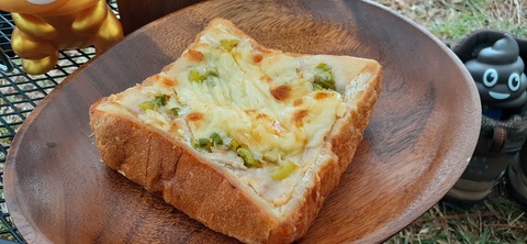 177-162(19-19)HGP南阿蘇OSCAMP1009_134212