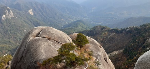 236-219(25-24)大崩山1104_140326