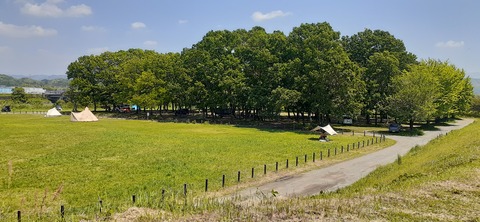 207-191(49-48)津志田河川公園乙女河原501_131445