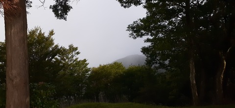 224-207(13-12)祖母山9合目山小屋817_080928
