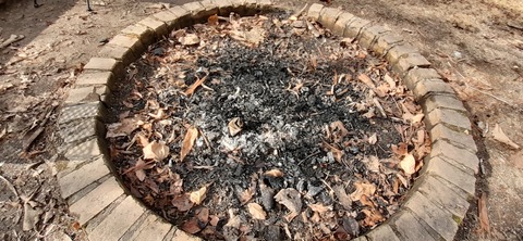 133-118(32-32)中ノ島公園124954