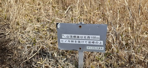 251-232(40-37)伽藍岳ゲリラキャン303_102601