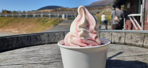 180-164(22-21)久住高原Ｈ天空の大地1103_125604