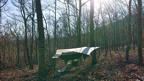 126-111(25-25)CAMP✕WOODS359