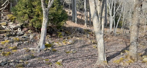 192-176(34-33)牧の原3121_125156