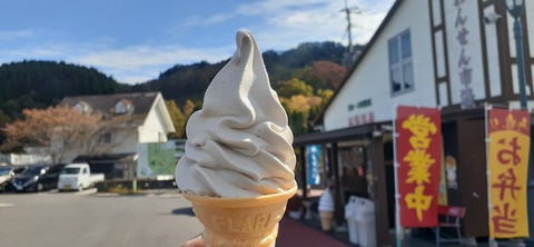 182-166(24-23)長湯きらりキャンプ場1106_121439
