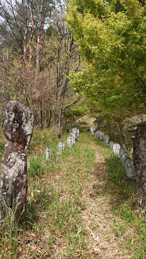 96-81(51-45)伐株山憩いの森583