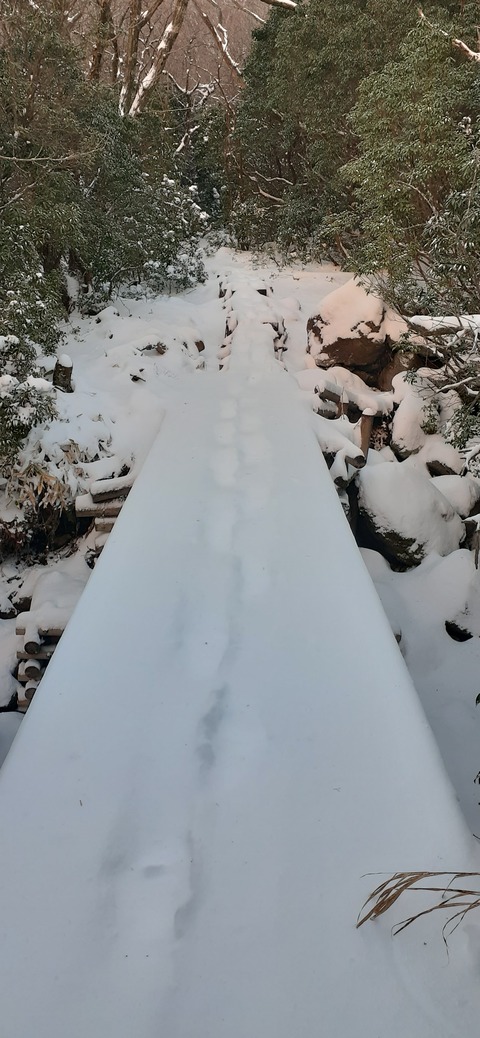 238-221(27-26)法華院温泉山荘1119_070614