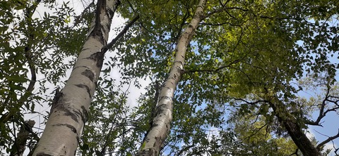 273-253(10-9) 上高地穂高岳817_102258