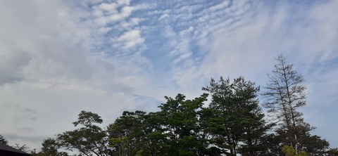 268-248(5-4)岳切渓谷キャンプ場615_180041