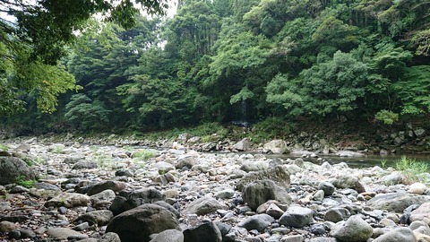 55-44(10-8)カワセミ公園3001S