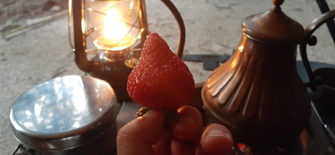 199-183(41-40)山中キャンプ場311_180636