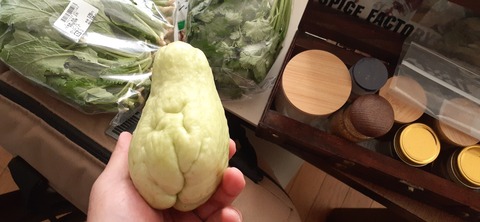 242-225(31-30)トゥーリキャンプサイト1202_090350