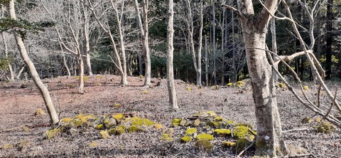 192-176(34-33)牧の原3121_125241