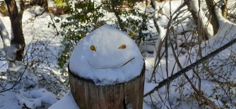 238-221(27-26)法華院温泉山荘1119_102320