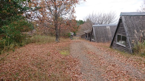 73-60(28-24)よかろうパーク595S