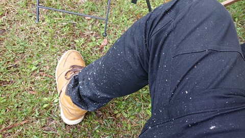 96-81(51-45)伐株山憩いの森642