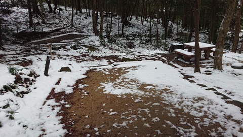 81-67(36-31)深坂自然の森286