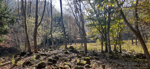 182-166(24-23)牧の原キャンプ場2回目1112_114120