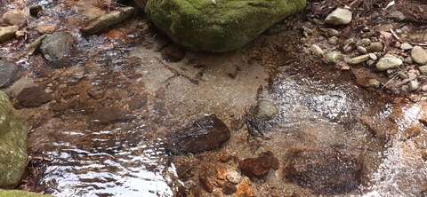 199-183(41-40)山中キャンプ場311_123528