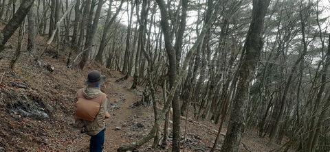 250-231(39-36)RECAMP志高湖 由布岳211_085957