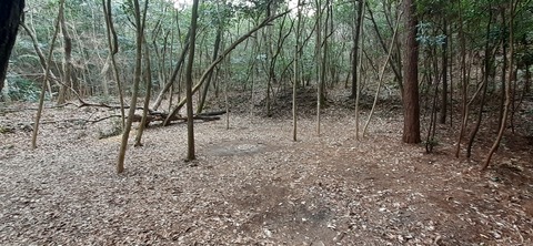 144-129(43-43)スゼンジハウスオープンエア26_105759