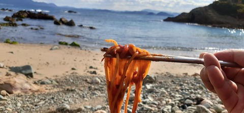 189-173(31-30)大島加代海岸103_124142