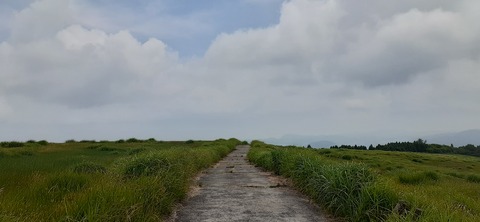 268-248(5-4)万年山616_104110
