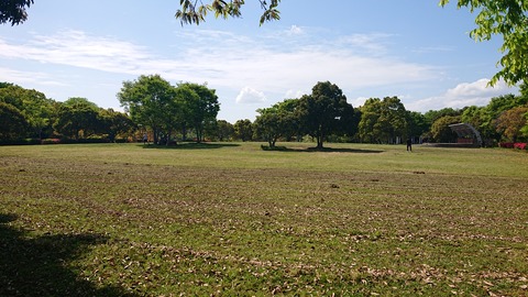 97-82(52-46)江汐公園キャンプ場747