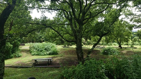 111-96(10-10)くじゅうエイドST165