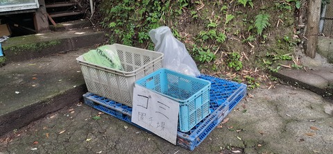 168-153(10-10)阿蘇ファンタジーの森806_122631