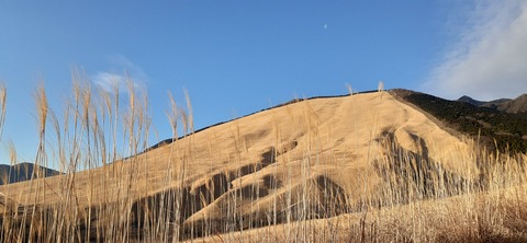 251-232(40-37)伽藍岳ゲリラキャン303_073632