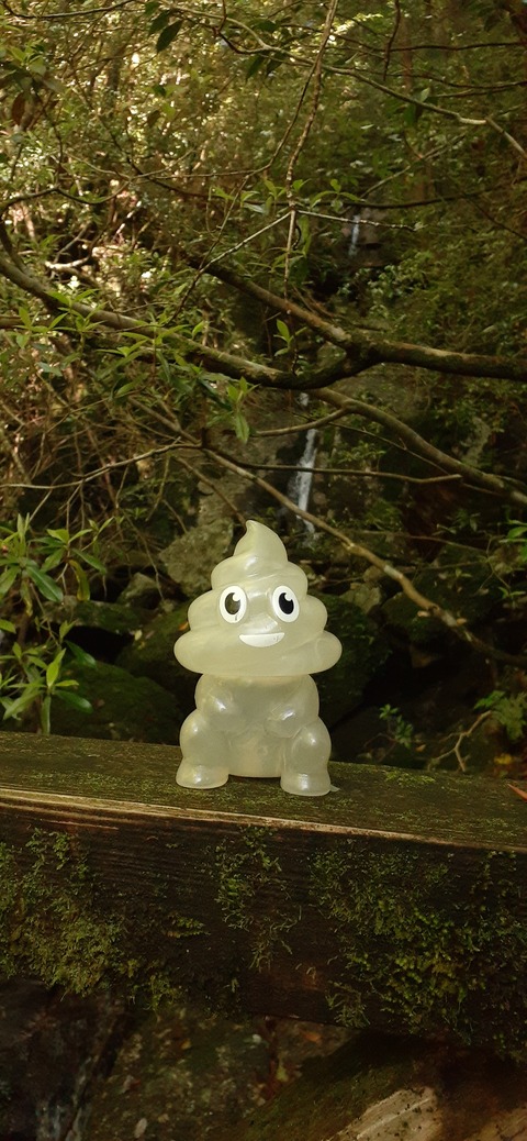 259-240(48-45)宮之浦岳新高塚小屋430_091057