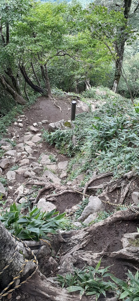 168-153(10-10)英彦山登山731_142534