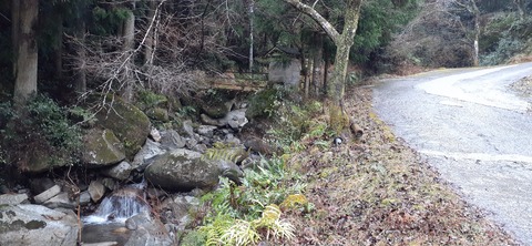 138-123(37-37)sleepy cafe nico23_092914