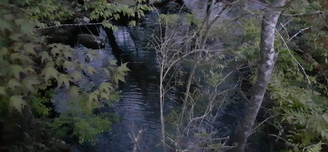 153-138(52-52)マゼノ 甲の瀬キャンプ村430_190433