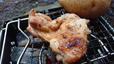 104-89(3-3)八木山渓流公園466