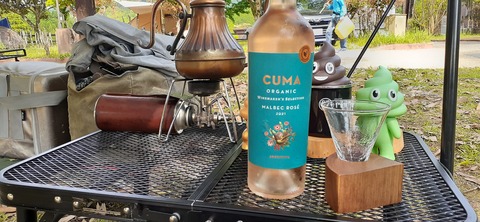 155-140(54-54)うめキャンプ村504_150340