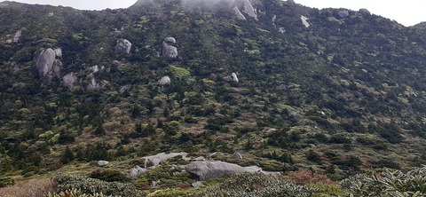 260-241(49-46)宮之浦岳淀川小屋501_155907