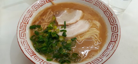 198-182(40-39)キワラビーチ ドルフィン225_124952