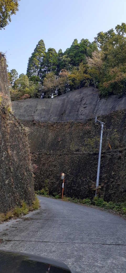 181-165(23-22)仲山城跡キャンプ場1104_104532