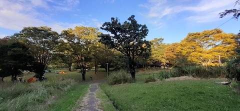 176-161(18-18)坊中野営場1008_164753